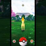 Rare Wild Fidough & Ponyta Caught in Indonesia! 🇮🇩 | Pokemon GO Shorts