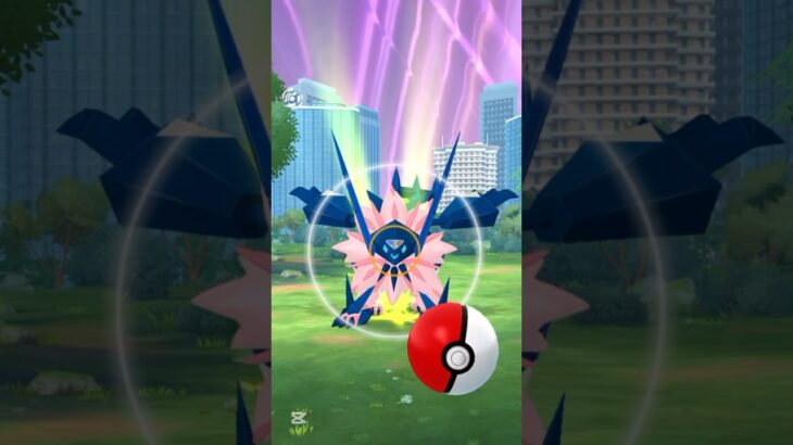 你的洗翠索羅亞變成哪個夥伴寶可夢  天空異常的洗翠慶典：時空！索爾迦雷歐 7/8-7/14 ! ソルガレオ Solgaleo Coming tomorrow #ポケモンgo #pokemongo