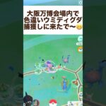 ポケモンGO大阪万博で色違いウミディグダ捕獲や