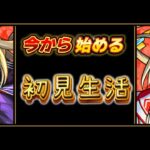 【モンスト🔴】もんどりまであと５日
