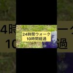 【ドラクエウォーク】24時間ウォーク、10時間経過。限界。 #ドラクエウォーク #dqw