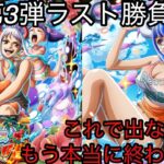 [トレクル]サマーパラダイススゴフェス第3弾本当のラスト勝負！ここで出なけりゃ今回はもう終わりだ…[OPTC]