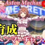 【ウマ娘】アストンマーチャン初育成！！【プリティーダービー】