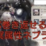 新冥属性ネブラ、闇パに必須級のキャラなのか高耐久＆火力ダウン【メメントモリ】