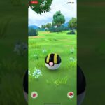 #ポケモンgo #ポケモン #チャンネル登録お願いします