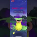ポケモンgo 陽光カップ　5本目 #ポケモンgo