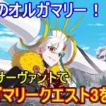 FGOの高難易度クエストは低レア鯖でクリアできるのか？　オルガマリークエスト3