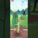 【ポケモンGO】　スーパーリーグにての対戦　Part 2    #ポケモンgo #ポケモンgoバトルリーグ #モエチャッカファイア