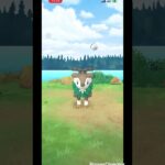 【ポケモンgo】　野生のメェークルを捕獲！ #ポケモンgo #pokemongo #ポケモン #pokemon #メェークル