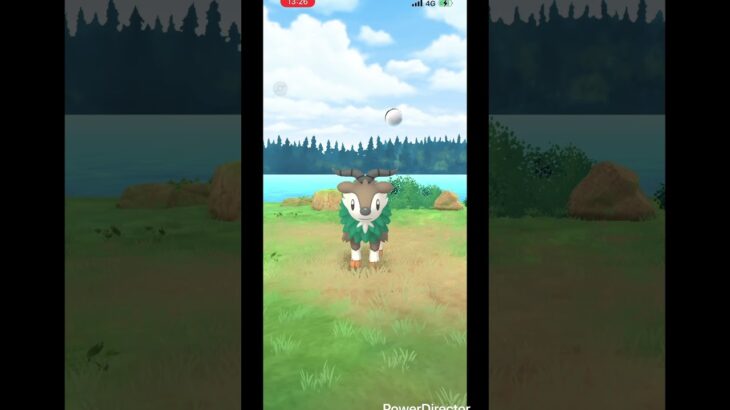 【ポケモンgo】　野生のメェークルを捕獲！ #ポケモンgo #pokemongo #ポケモン #pokemon #メェークル