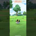 【難易度中】色違いクワッス極小サークルクリティカルゲット【ポケモンGO】