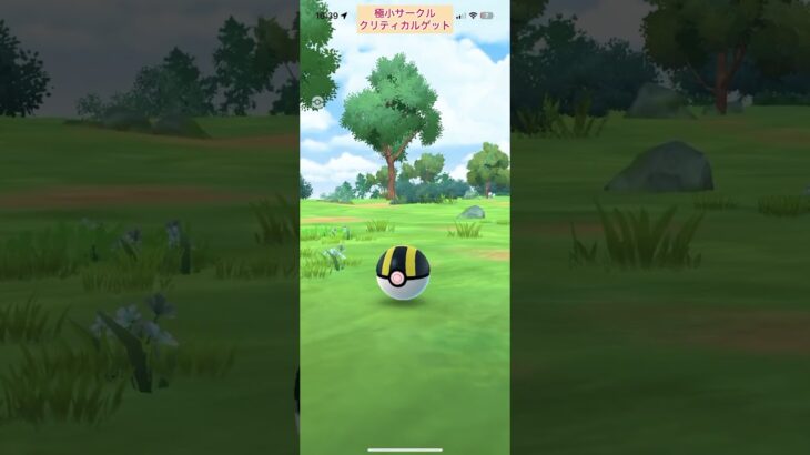 【難易度中】色違いクワッス極小サークルクリティカルゲット【ポケモンGO】
