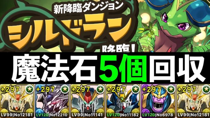 【シルドラン降臨】簡易F91編成で初回クリア〜周回まで快適に！アシストなし、潜在なし、891なし【パズドラ】