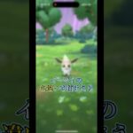 ゾロアが新しい姿になって帰ってきた､､､#ポケモンgo #pokmongo #shorts