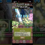 シルドランたまらん【パズドラ】