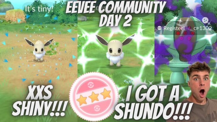 ✨I CAUGHT A SHUNDO EEVEE in Pokemon Go!!!✨