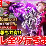 【ドラクエウォーク】8ReWALK最後の武器に有償＆マイレ全ツッパ!! 7章情報も共有します!!【DQW】