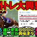 『海外トレーナーさん、あるウマ娘の史実を大熱弁する姿がSNSで大反響！』まとめ 【ウマ娘プリティーダービー】