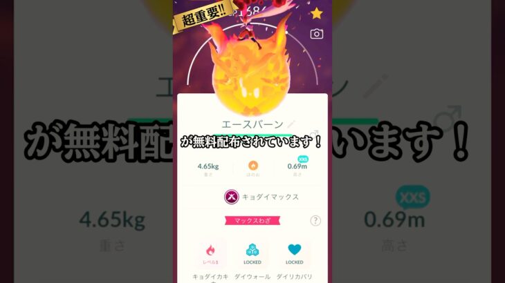【ポケモンGO】初心者必見‼︎キョダイマックス無料プレゼント‼︎#ポケモンgo #ポケモン #ボックス #shorts #short #キラ #ギルガルド #tiktok