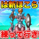 【ドラクエウォーク】明日からヘルパイレーツ実装!! 対策を練って行くぞ～!!【DQW】