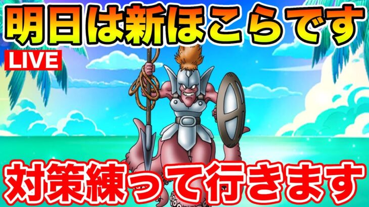 【ドラクエウォーク】明日からヘルパイレーツ実装!! 対策を練って行くぞ～!!【DQW】