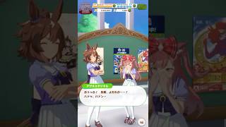 【 ウマ娘プリティーダービーUmamusumePrettyDerby 】 ウマ娘同士の会話が可愛かったので〜シンコウウインディ、アグネスデジタル、ニシノフラワー、シンボリクリスエス【 うさぴよの巣 】