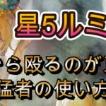 星5ルミカを使いこなすランカーの激アツバトル2選！速パのキーキャラか！？【メメモリ】