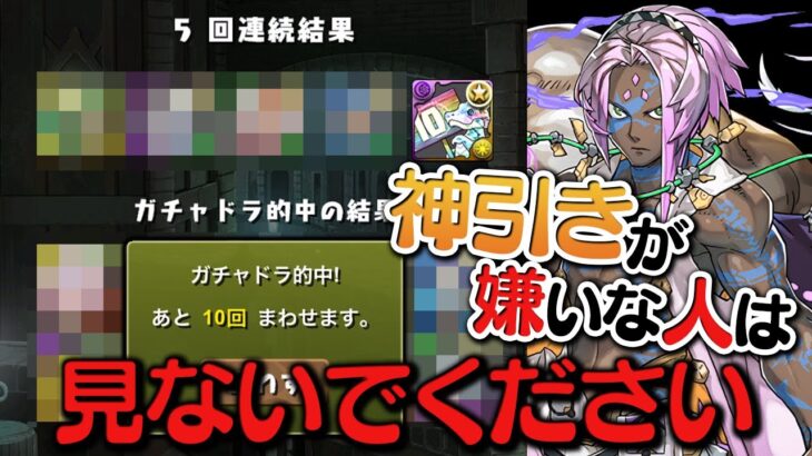ソロモンの交換キツいから悪魔フェス引くか！でとんでもない事に…【パズドラ】