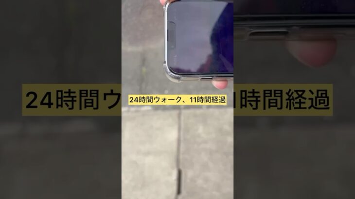 【ドラクエウォーク】24時間ウォーク、11時間経過 #ドラクエウォーク #dqw