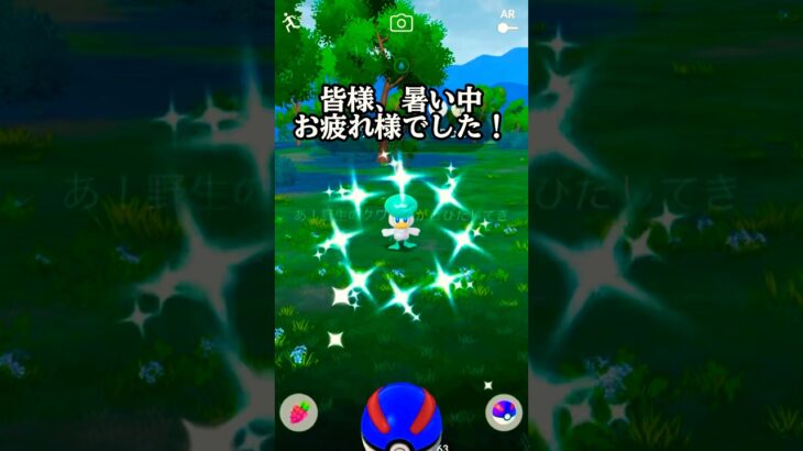 【ポケモンgo】クワッスコミュニティディ参戦したらヤバかった‼︎#ポケモンgo #ポケモン #pokemongo #色違い #shorts #short #tiktok