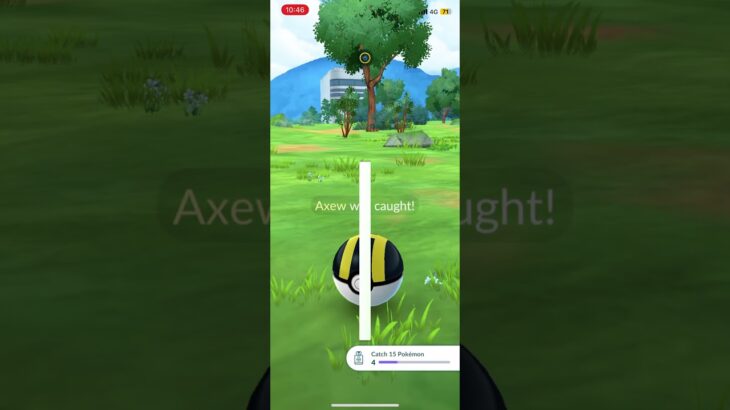 ✨Shiny Axew ✨- Pokémon GO #pokemongoshorts #pokemongo #shinypokemon #ポケモンgo #ポケモン