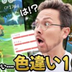100％！？色違い！？ヒスイ！！ドレディア！！！きたああああああああ！！！！【ポケモンGO】