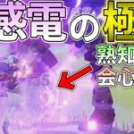 【原神】イネファにより実装された月感電の極致を見たい