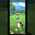 まだメェークルいたんですね。7/24です。#ポケモンgo #short