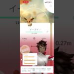 イーブイ大量にゲットだぜ#ポケモン#ポケモンGO#イーブイ