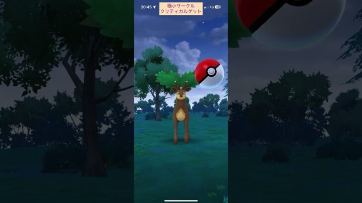 【難易度低】メブキジカ極小サークルクリティカルゲット【ポケモンGO】