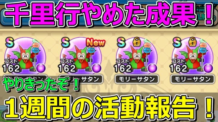 【ドラクエウォーク】これが千里行をやめた成果！Ⅷイベントやり切ったか！？1週間の活動報告！プレイ状況共有！