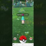 [Pokemon GO 9th Birthday] 파티 모자를 쓴 #개무소 #포켓몬고 #pokemon #pokemongo