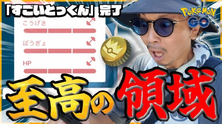 【ポケモンGO】生まれて初めて「きんのおうかん」を使い「すごいとっくん」を完了させて、とんでもないポケモンを誕生させてしまいました。【ハガネ＆ウロコ】