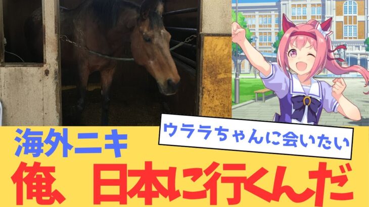 【海外の反応】日本でハルウララに会いたい！【ウマ娘】