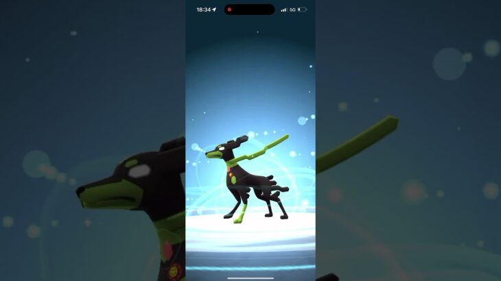 ジガルデ50%しんかぁぁぁぁああああ!! #braveheart #ポケモンGO #ジガルデ #セル