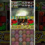 新進化した『火クロトビ』がやばすぎる！！！ 【パズドラ 龍喚士 龍契士 イベント】 #パズドラ #shorts