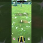 【ポケモンGO だいじなたからばこ】色違いコレクレーゲットだぜ！ #ポケモンgo #pokemongo  #コレクレー