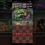 イケイケグラビス【パズドラ】