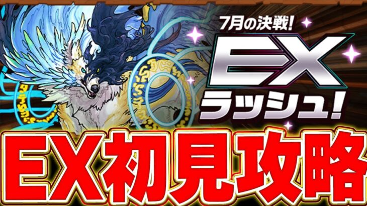 【EXラッシュ】初見でサクッと攻略するやつ【パズドラ実況】