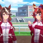 【ウマ娘】カイチョーに挑むバブルガムフェロー【ウマ娘プリティーダービー】