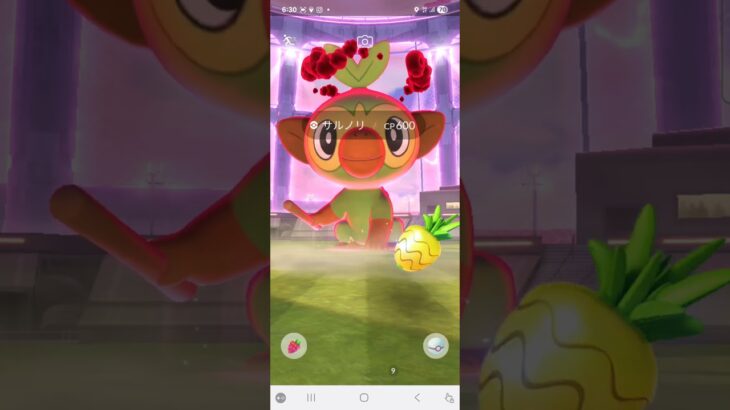ポケモンGOダイマックスバトル「サルノリ」ソロ討伐‼️ #ポケモンgo #ダイマックスバトル #ソロ討伐