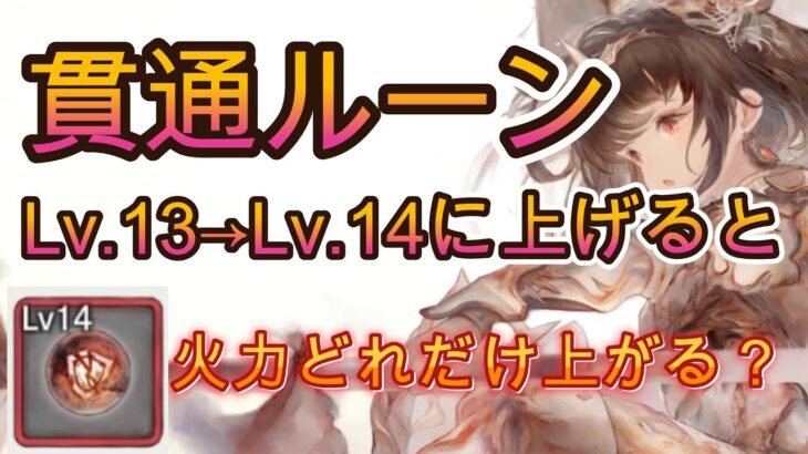 貫通ルーン13から14に上げたらどれぐらい火力上がるのか！？レッツ検証！【メメモリ】