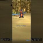 【ドラクエウォーク】地図イベトマホーガーとの戦い♪