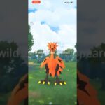 I Caught THIS GALARIAN BIRD With A Critical Catch in Pokemon Go! #shorts #pokemon